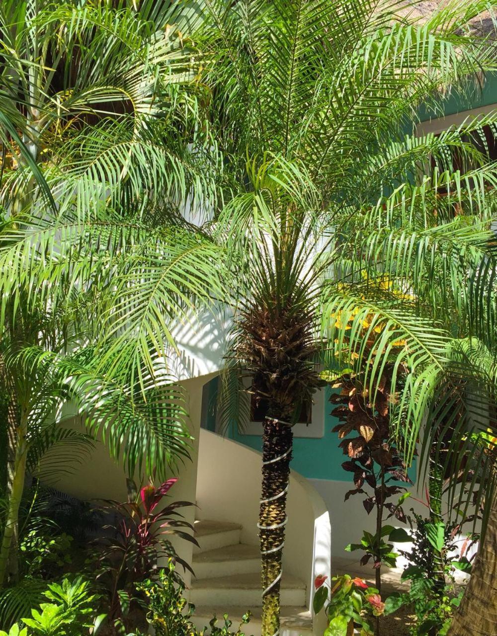 Toto Blue Hotel Boutique Bacalar Exterior foto